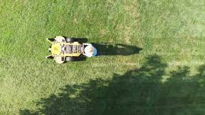 Lexington, ky 67 lawn care services near you. U S Lawns Charleston Sc Home Facebook
