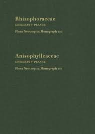 Image result for Anisophylleaceae