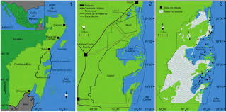 la investigacion....indb
