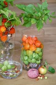 Brico With Images Autumn Decorating Chinese Lanterns Physalis