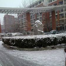 All the info on tuition, reviews and admissions process for international students. Dormitory Number 12 Of International School Zhengzhou University College Residence Hall
