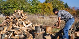 Getting the firewood is unrealistic to be extremely troublesome for you the second is to secure the wood and keep it free from critters, rain, and snow. Lack Of Firewood Collection Areas Disappoints Again The Nationals Victoria
