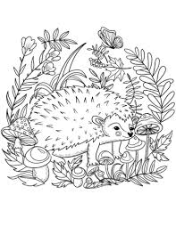 Hedgehog Coloring Page Animal Coloring Pages Hedgehog Colors Free Coloring Pages