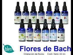 Las esencias florales presentan unos efectos más que positivos en la salud de las personas. Flores De Bach Blen Para Que Sirven Sus Combinaciones Youtube