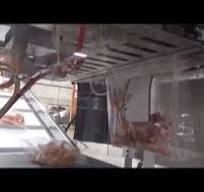Bulk Packaging System - Automatic Vertical Bagging Machine ...