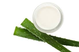 Skin And Hair Care With Aloe Vera Afiyet Afiyet Aloe Care Hair Skin Vera Aloe Vera For Face Aloe Vera Skin Care Natural Skin Cream