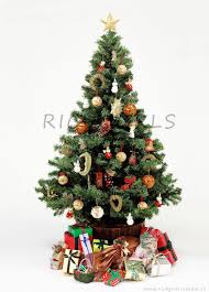 Trei zile pana la craciun comments. Au Mai Ramas 3 Zile Pana La Craciun Ati Terminat De Facut Pregatirile De Impodobit Bradul Si Impachetat Cadourile Www Holiday Decor Christmas Tree Holiday