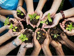 Plant a tree for $1 to do your part on world environment day! Trending Science Plant A Trillion Trees To Save The Planet Study Urges News Cordis European Commission