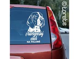 Image result for auvergneský ohař