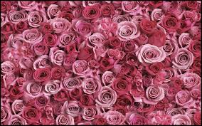 That's because having flowers delivered today is a premium service that requires quick response and prioritization from a local florist in your area. Best And Cheapest Florist In Singapore Flower Delivery