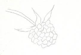 Himbeere Malen Mit Aquarellfarben Beeren Malen Susan Bronsak Wie Malt Man De Zeichnen Lernen Malen Lernen Online Malkurs Mit Acryl Und Olfarbe Malenwie Malt Man De Zeichnen Lernen Malen Lernen Online Malkurs Mit Acryl Und Olfarbe Malen