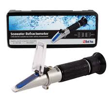 Image result for Searsia refracta