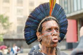 The indigenous peoples view themselves as having a historical existence and identity that is separate and independent of the states now enveloping them. Covid 19 An Existential Threat For Indigenous Peoples Of The Amazon Preventionweb Net