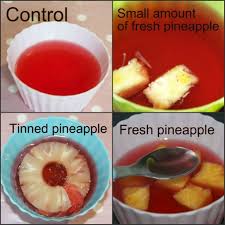 The various organelles of the cell are represented by fruits and candies. Why Does Pineapple Stop Jelly Setting Kitchen Science For Kids
