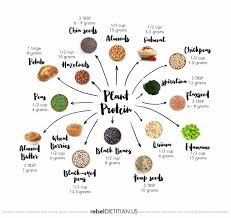 Protein Charts Healthy Eating Plant Based Protein Vegan