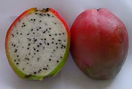 Caribfruits Pomme Cactus Fruits Des Antilles Fruits Tropicaux Fruits Exotiques Fruits Et Legumes