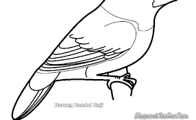 Gambar sketsa burung elang terbang. Detail Gambar Gambar Burung Hantu Hitam Putih Untuk Diwarnai Gambar Kartun