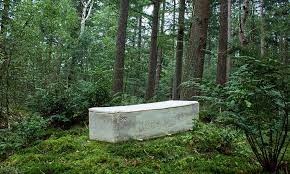 Le rôle du sang est le transport. Les Cercueils En Carton Ou Champignons Ecolos Jusqu A La Mort We Demain