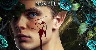 ✨Fairyloot Box Box Special Editions✨