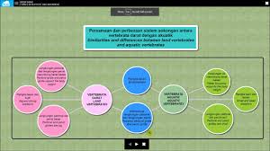 Does peta protect and nurture the animals placed in its care? Peta Minda Sampel Akaun Murid Youtube