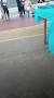 Profile Picture of Elsa Olmedo was live. - Facebookon Google