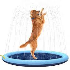 It keeps them comfortable and improves their appearance by keeping their fur this dog fountain is the only one in this review that does not have a bowl. Buy Flyboo Splash Sprinkler Pad For Dogs Kids Thicken Dog Pool With Sprinkler Pet Outdoor Play Water Mat Toys For Dogs Cats And Kiddie Online In Indonesia B07rjgg1vm