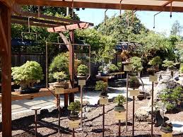Top free images & vectors for bonsai garden oakland in png, vector, file, black and white, logo, clipart, cartoon and transparent. Original Entrance Point To The Bonsai Garden At Lake Merritt Picture Of Gsbf Bonsai Garden At Lake Merritt Oakland Tripadvisor
