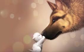 Cute Animation Animal Definition Anime Pc Hd Animated Animals Cute Animals Animals