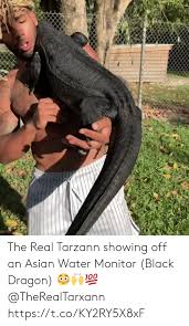 Fixed all the things, now its time to break them again! 25 Best Memes About Black Dragon Black Dragon Memes