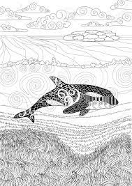 But this time, your kids will find them in the pages of this beautiful orca coloring page. Killer Whale With High Details Adult Antistress Coloring Page Royalty Free Cliparts Vectors And Stock Illustration Image 63112402