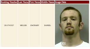 Buford Docket Book: Aggressive Driving, Attempting to Elude and Fighting  Words