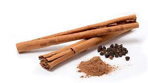 Cinnamon spice or also known as kulit kayu manis in malay, isolated with black background. Tanaman Kayu Manis Rempah Manis Dari Daerah Tropis Greeners Co