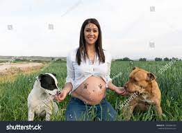 Pregnant Girl Fucking Kissing Her Dog Stock Photo 1992884792 | Shutterstock