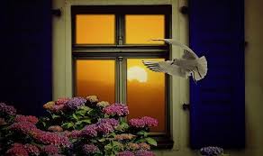 Shop for bird window decals available in unique designs at only $6.95 per pack! Spiritual Meaning Of Birds Hitting Window