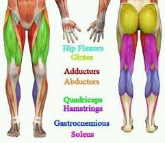 While doing this, you should rest your weight on the balls of your feet and emphasize on moving your behind backwards as opposed to simply lowering your body. Pin On Interesting Info