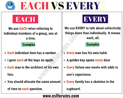 Each Vs Every How To Use Them Correctly Esl Forums Learn English Grammar Learn English English Lessons