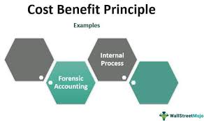 Bearing in mind that employers have until the 15th day of each following month to remit contributions, the statement may not reflect contributions paid as at the date of your request. Cost Benefit Principle In Accounting Definition Top Examples