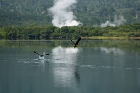 Indonesia, maumere , jalan kesehatan 3. Bukit Barisan Selatan National Park Wikipedia