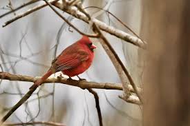 Marc Forman (@mfdsfb) • Instagram photos and videos