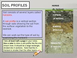Some latin words have come into english unchanged. Humus Latin Definition