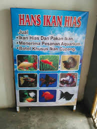 Ikan hias ini memiliki keunikan tersendiri, yaitu hampir seluruh tubuhnya berwarna hitam yang diselingi dengan sedikit. Guppy Bex Home Facebook