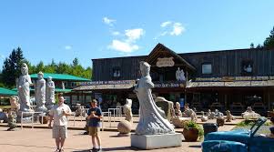 Image result for Coombs