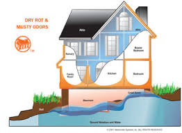 However, if you are applying paint for decorative purposes, you can use any good quality latex paint. What Is Drylock And Does It Work Neutocrete