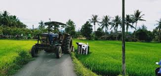 Rancang percutian anda ke tawau bersama keluarga tersayang. Car Fall Into Paddy Field In Perlis