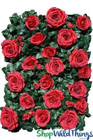 Pin On Flower Walls