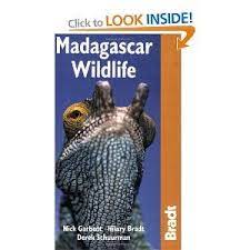 Madagascar Wildlife By Nick Garbutt Hilary Bradt Derek Schuurman 11 04 Madagascar Travel Madagascar Wildlife
