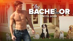 The Bachelor With Dogs With Scott Eastwood Scott Eastwood Scot Eastwood Funny