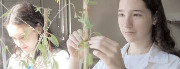 Print WAORT-NEWS-62606