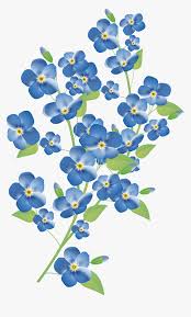 Check spelling or type a new query. Forget Me Not Png Pic Forget Me Not Flower Transparent Png Transparent Png Image Pngitem