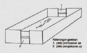 Pengecekan progress struktur kolam renang untuk pemasangan pompa dan filter pnj. Struktur Kolam Analisa Struktur Kolam Renang Bahan Anorganik Dimana Meliputi C N Co2 H2o Dan Lain Sebagainya Info Misteri Terlengkap